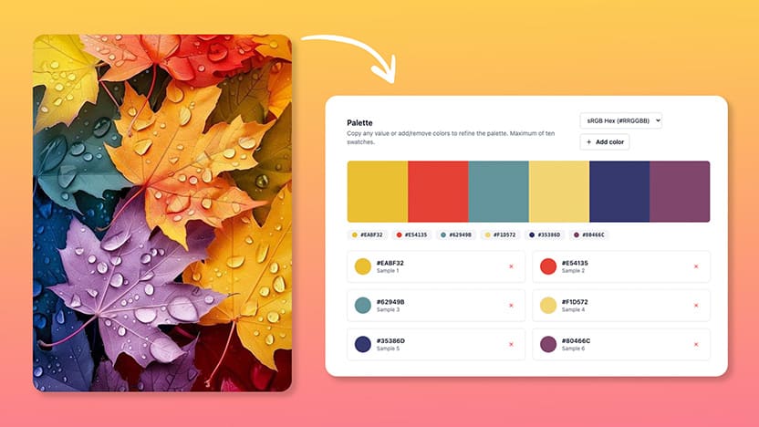 palette maker tool online free