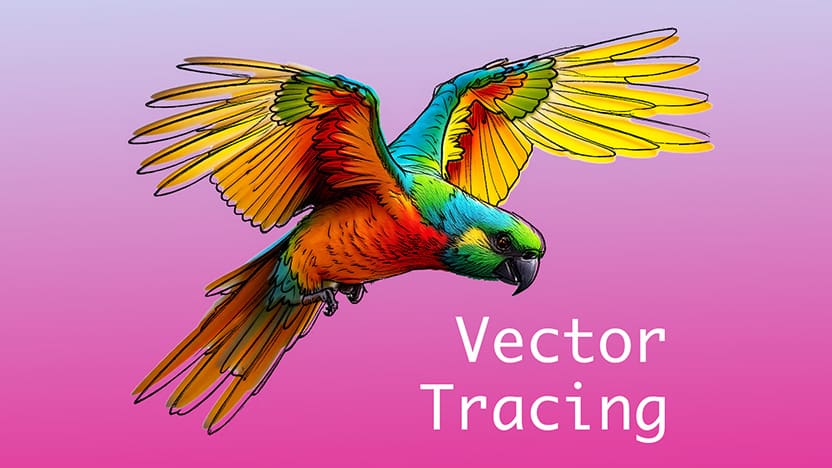 Best Online Image Trace Illustrator Alternative